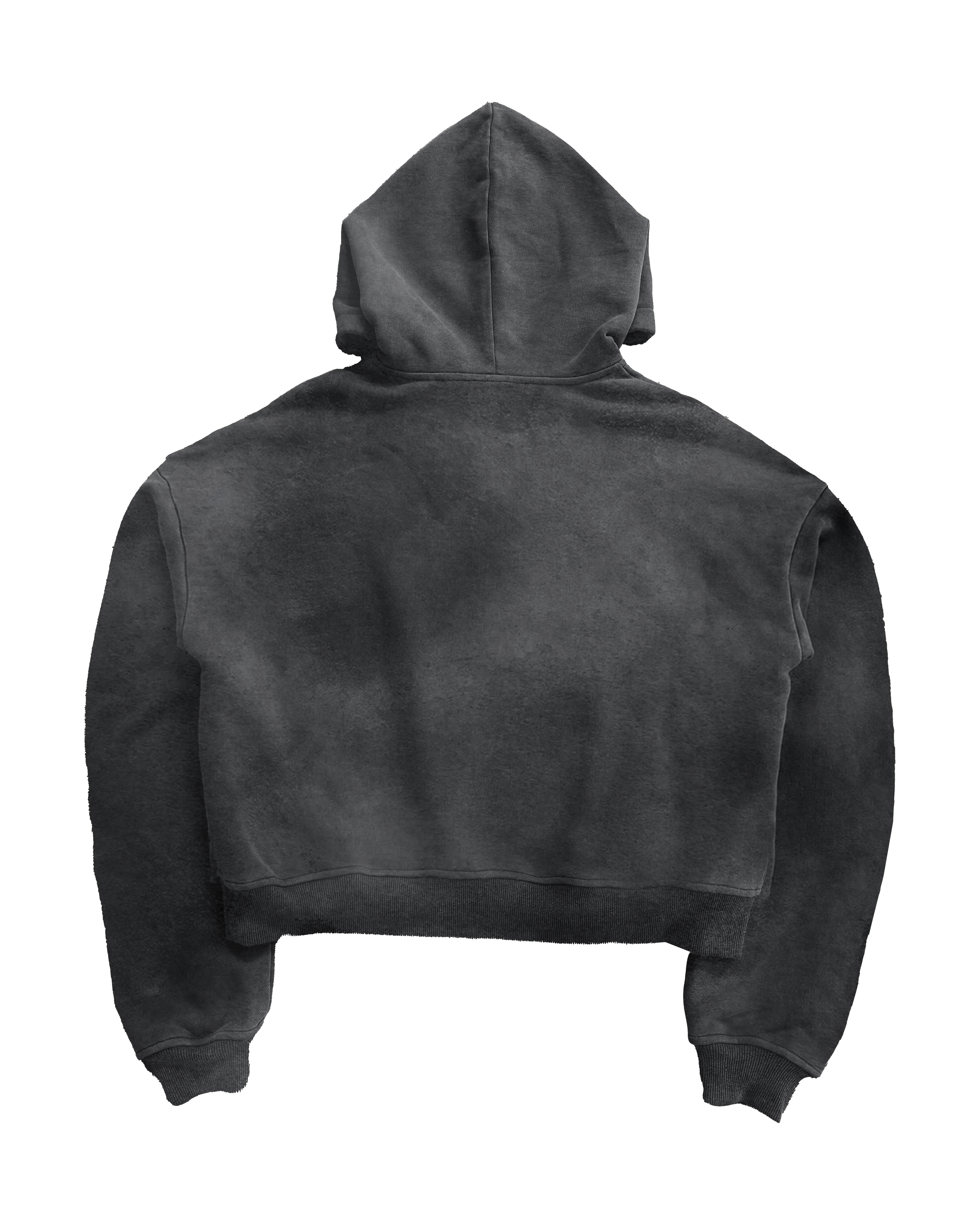 DH CHRONICLE HOODIE